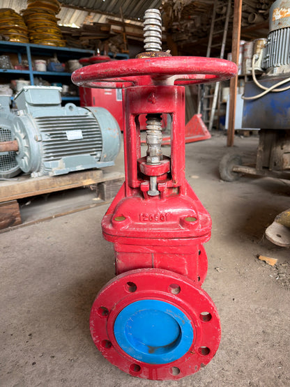 Yükselen Milli OS&Y Sürgülü Vana-200psi