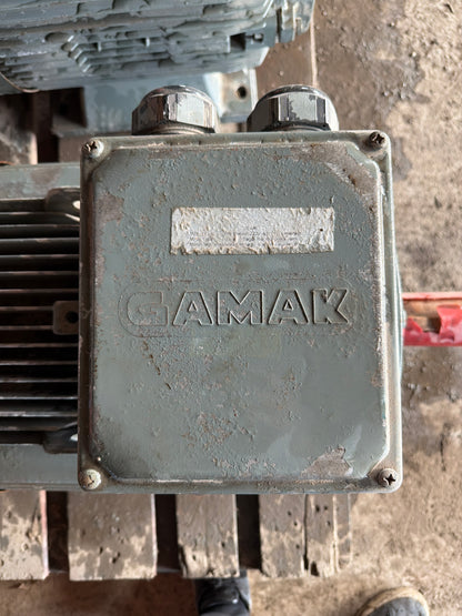 Gamak AGM2E 200 L 4 Motor - Endüstriyel Motor